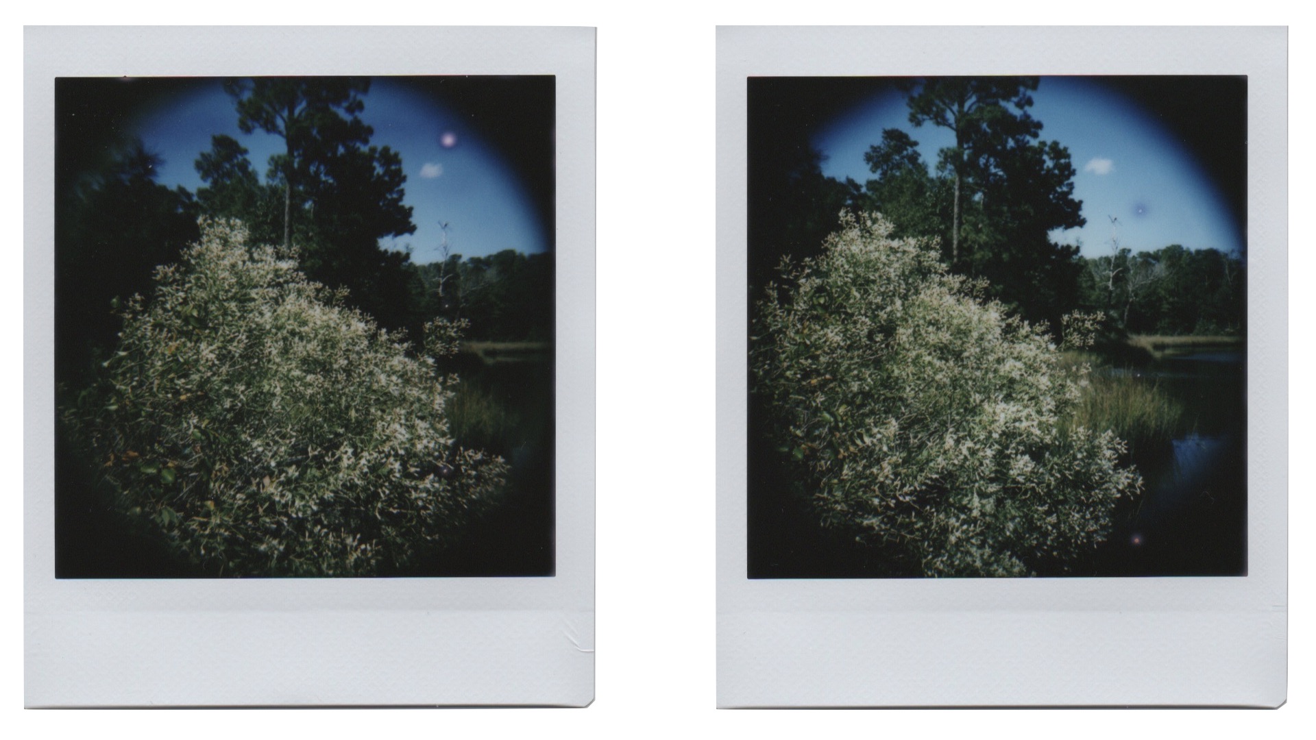 two Instax prints with a 75mm lens