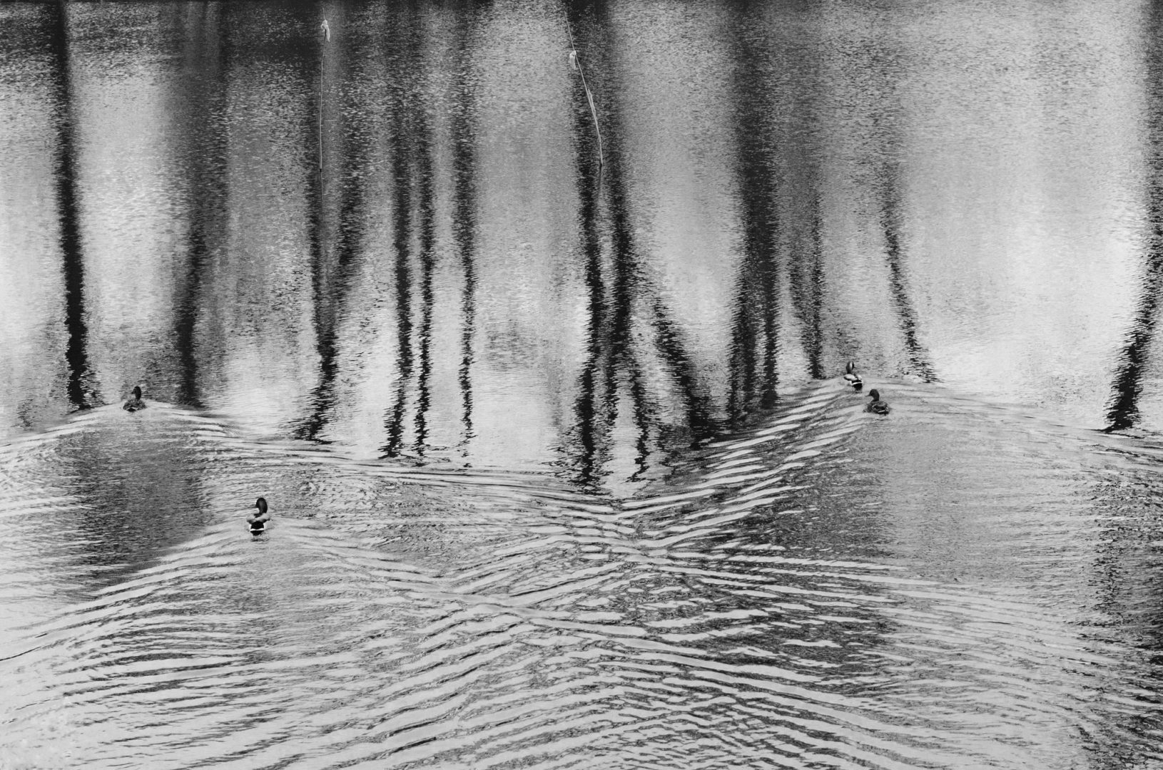 movement