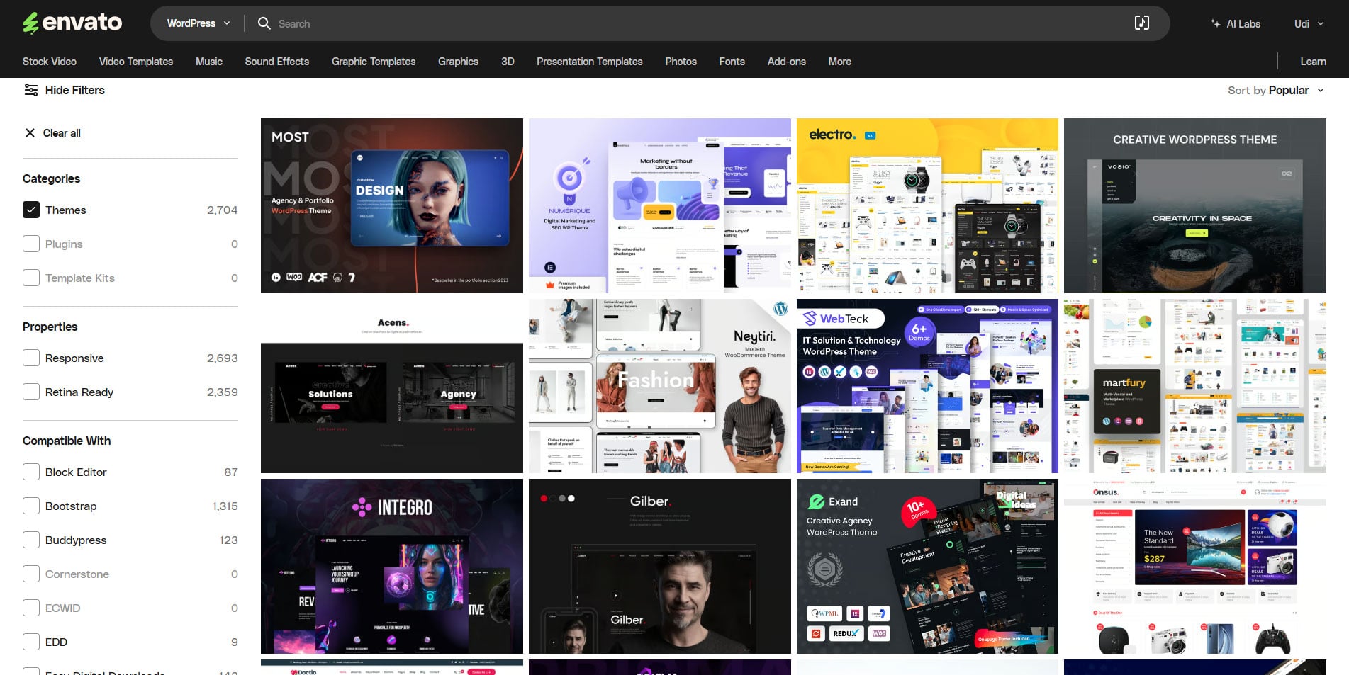 Envato WordPress Themes