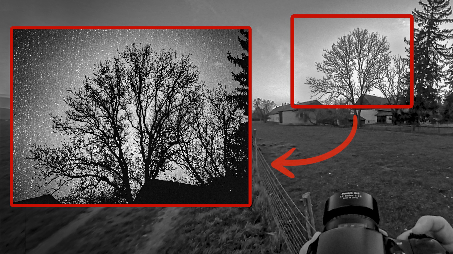 photographing tree in broad daylight