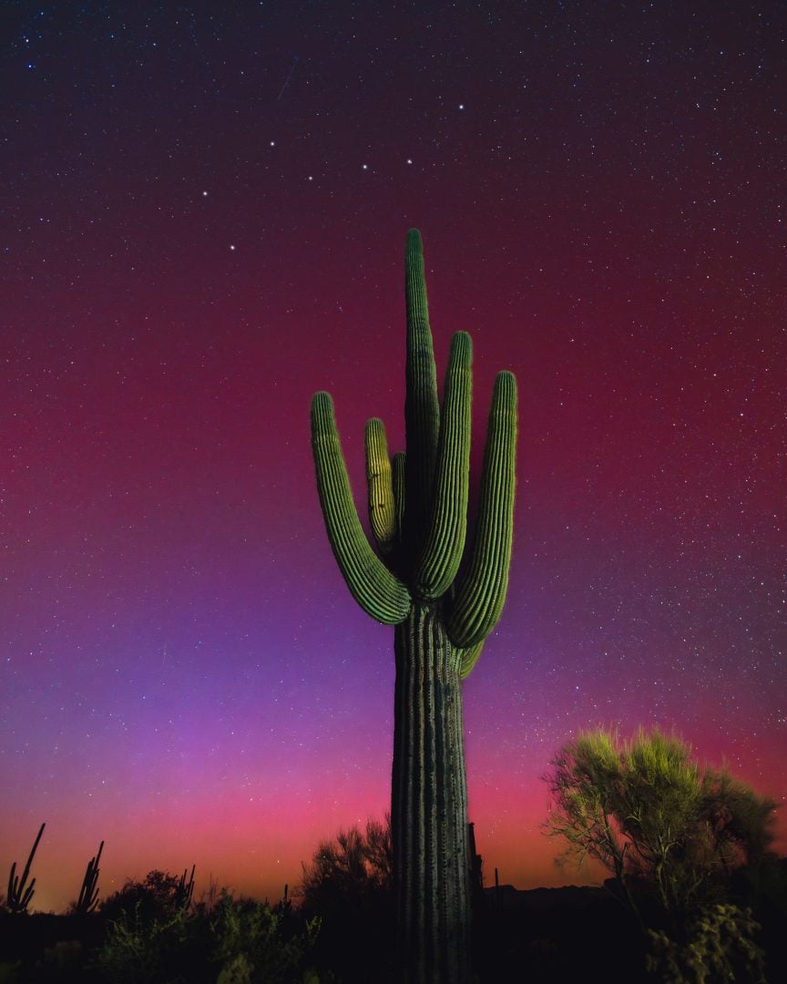 northern lights photographer of the year 2024
