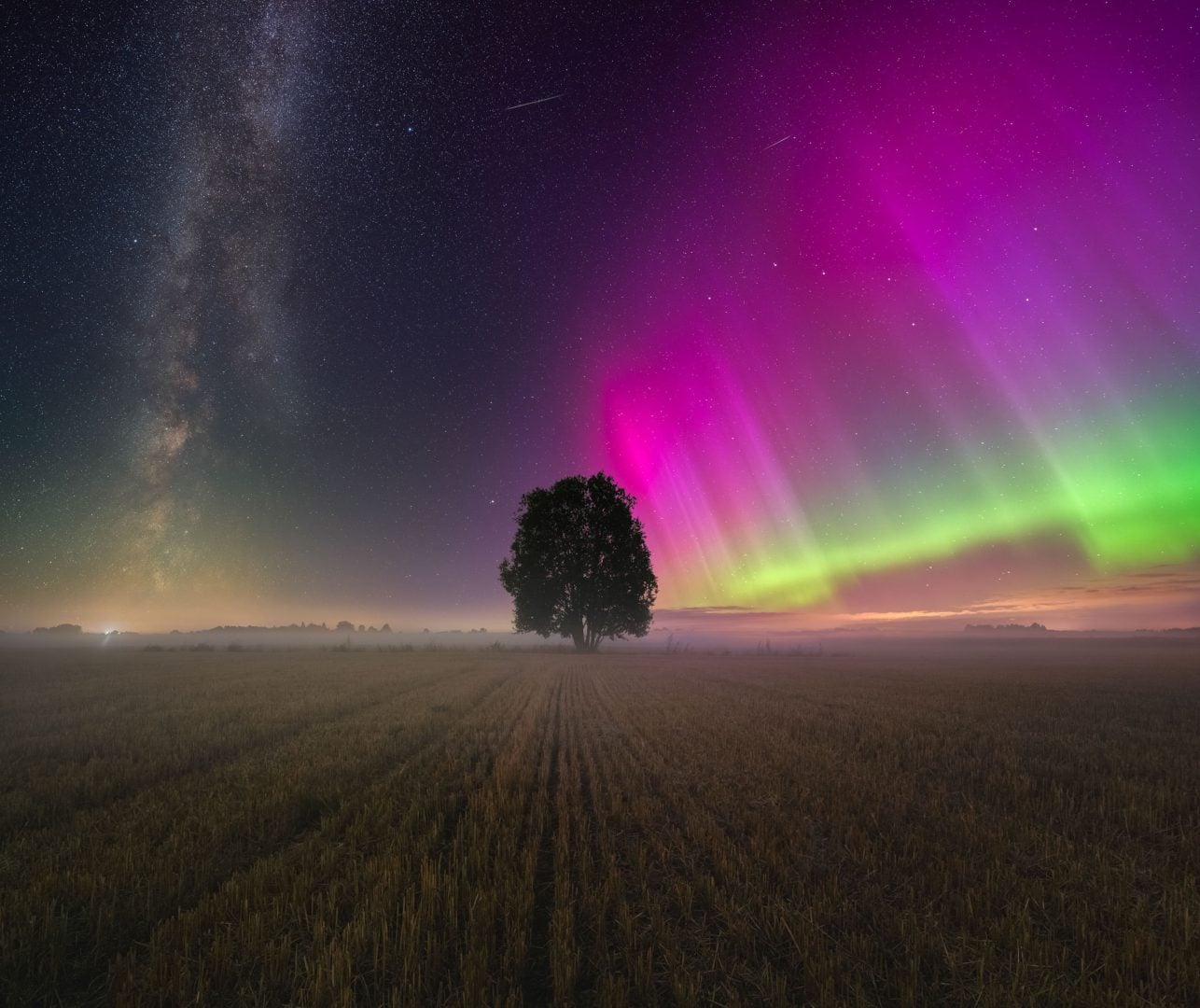 northern lights photographer of the year 2024