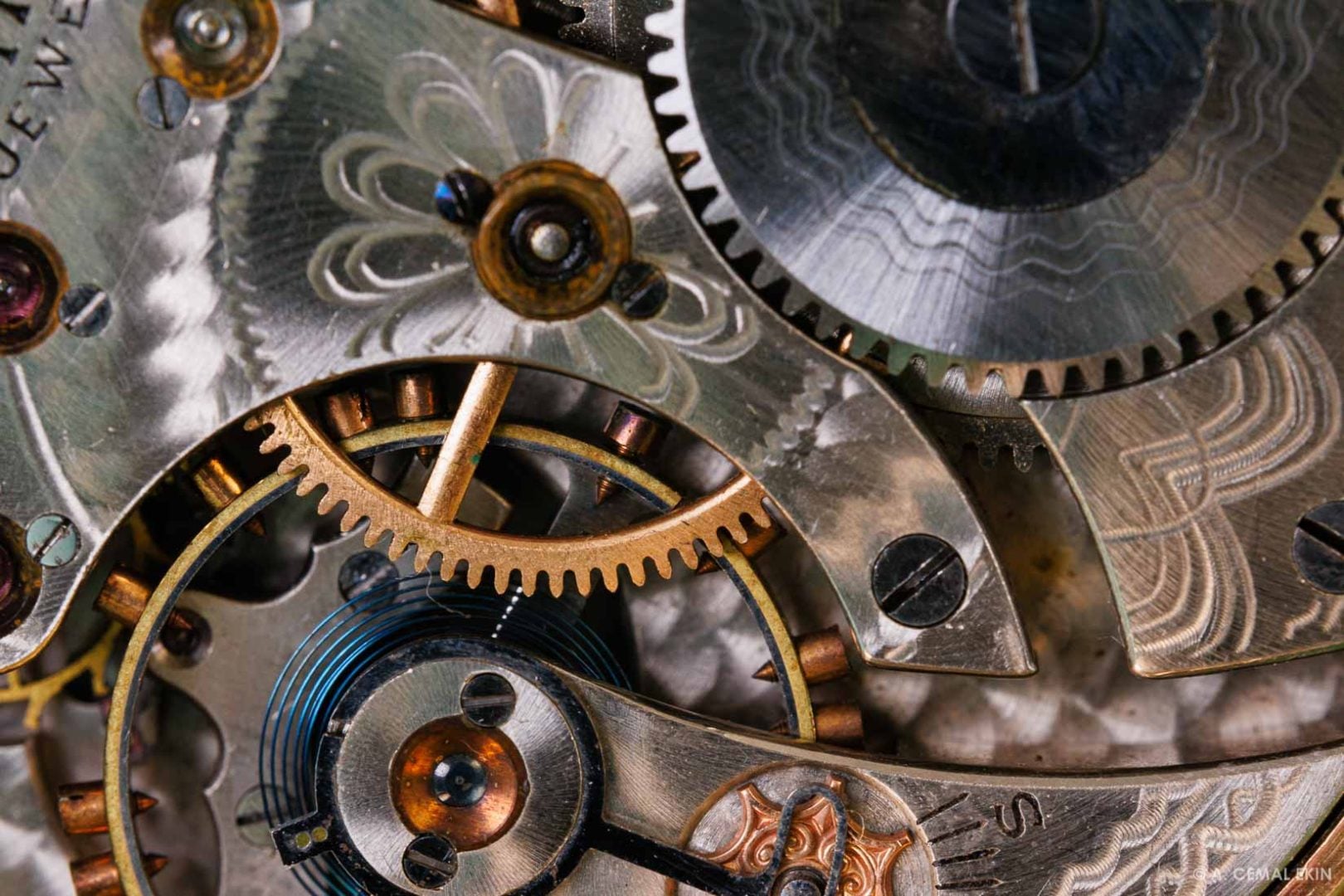 A Closer Look at the new 100mm F2.8 Pergear macro lens