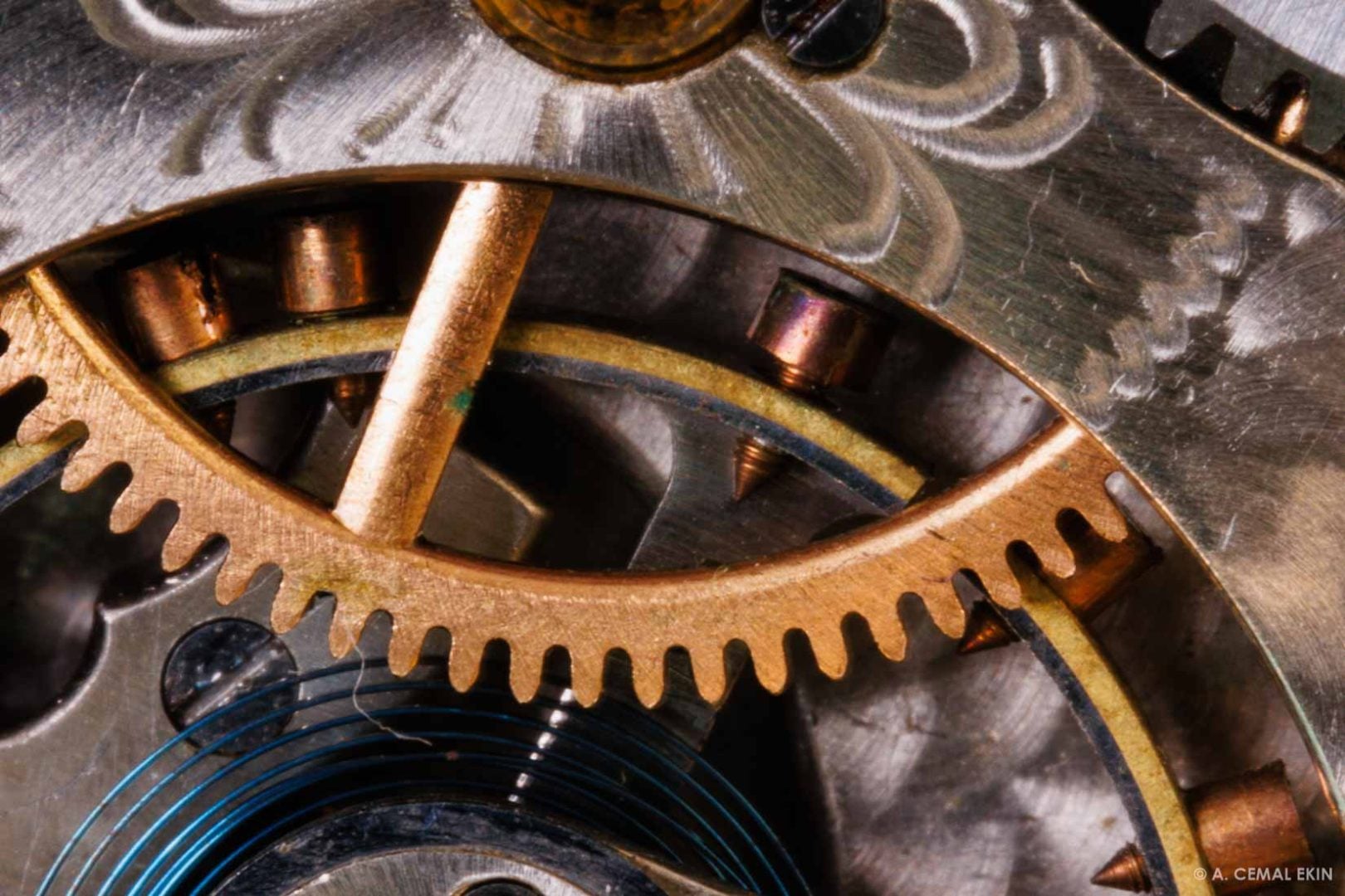 A Closer Look at the new 100mm F2.8 Pergear macro lens