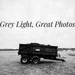 grey days