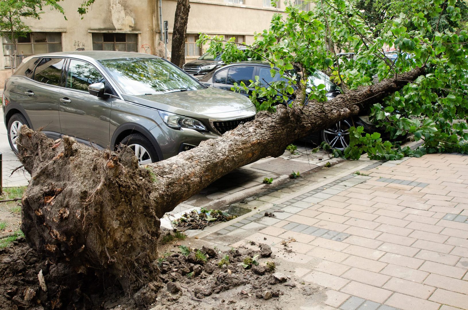 recover after photographing disasters
