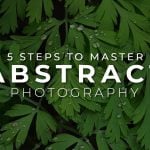 Use These Tips to Unlock the Art of Extraordinary Abstract Photography