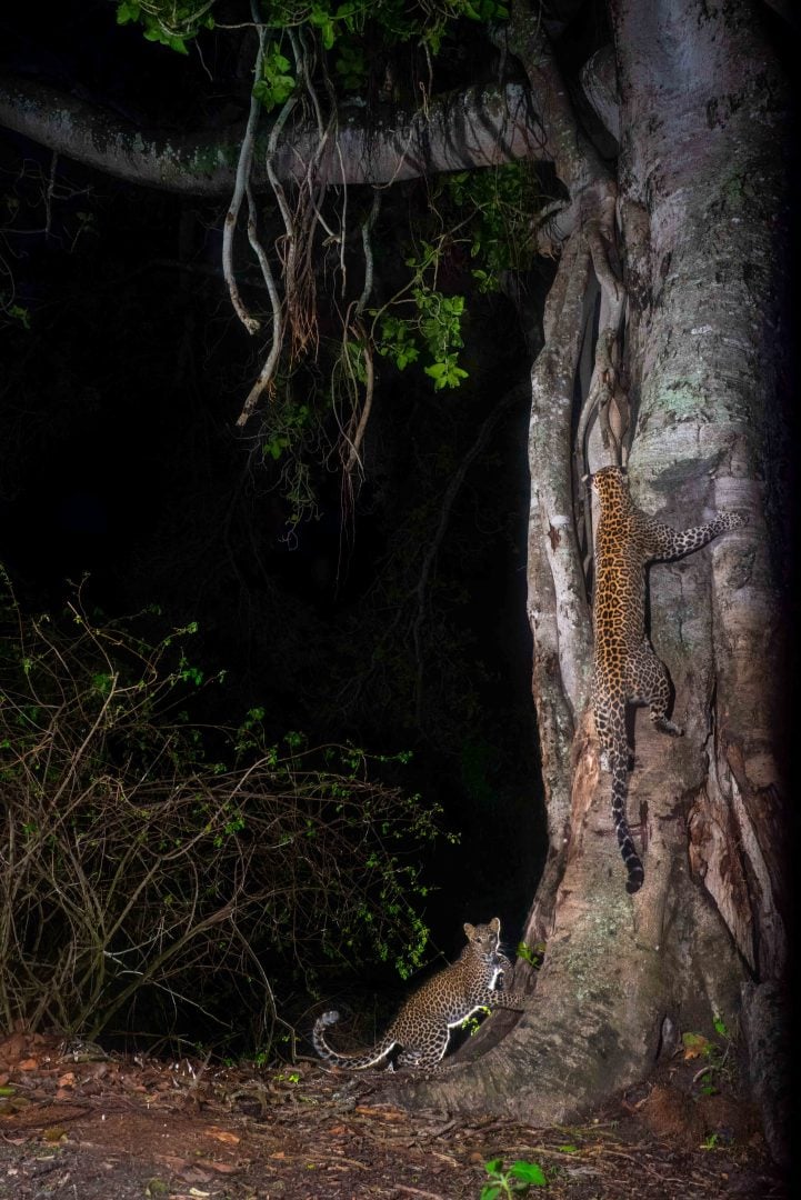 Nature inFocus Photography Awards 2024