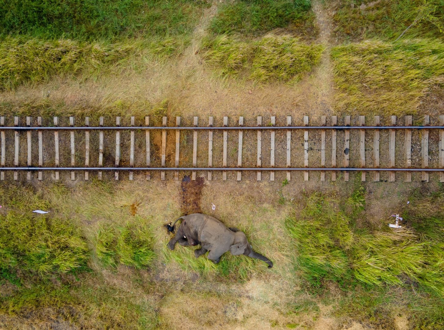 Nature inFocus Photography Awards 2024