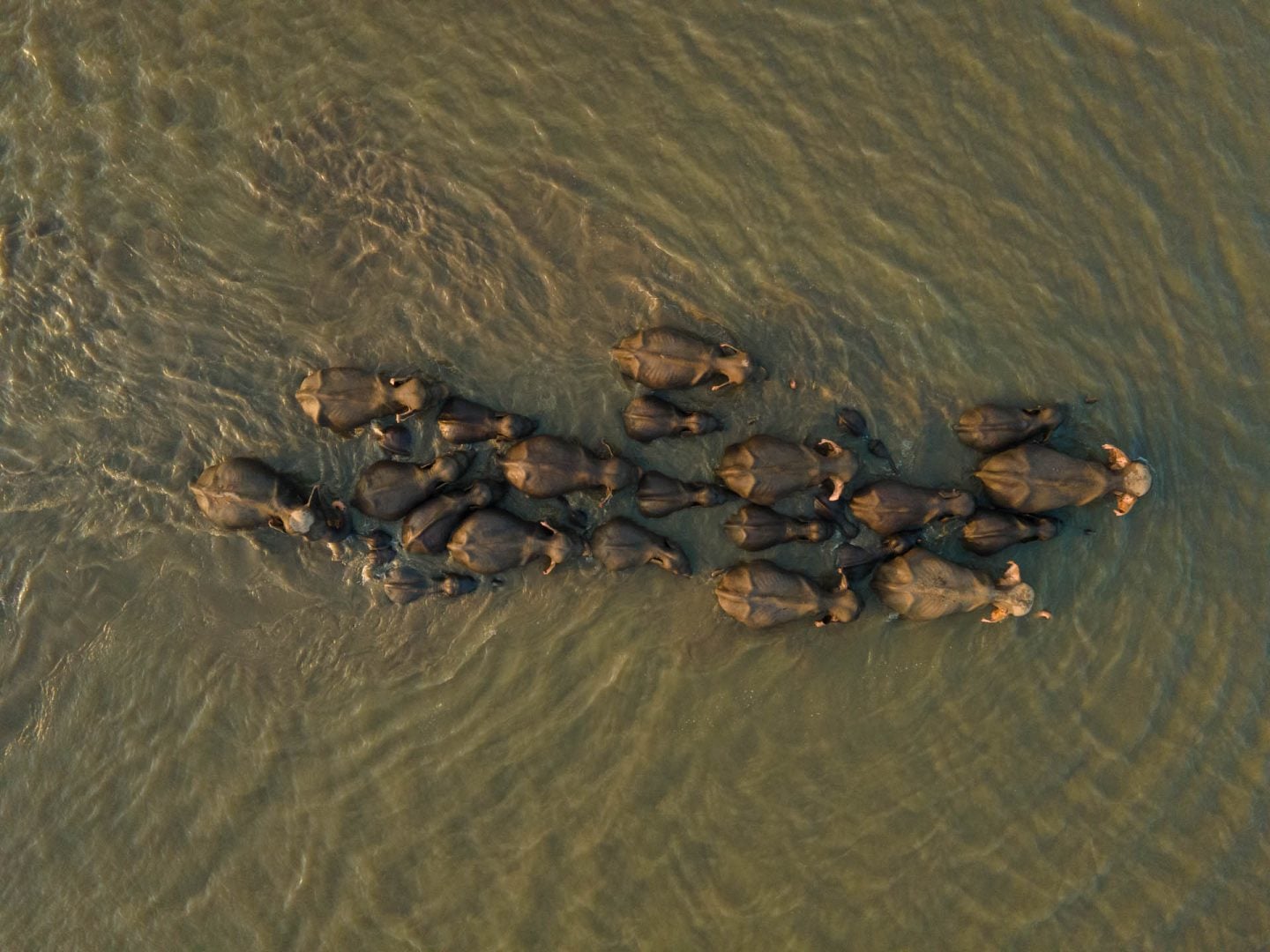 Nature inFocus Photography Awards