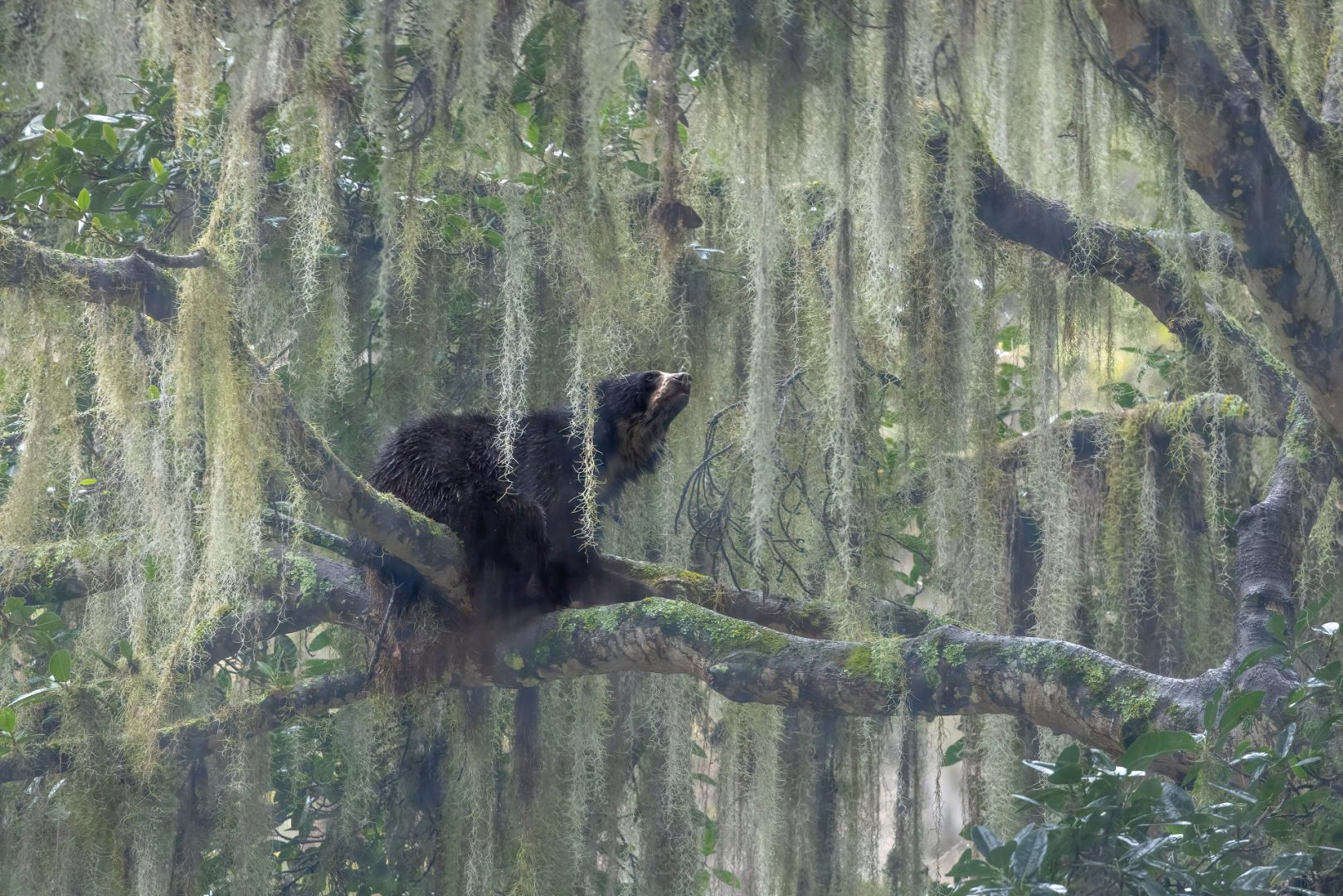 Nature inFocus Photography Awards 2024