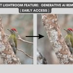Generative-AI remove Lightroom