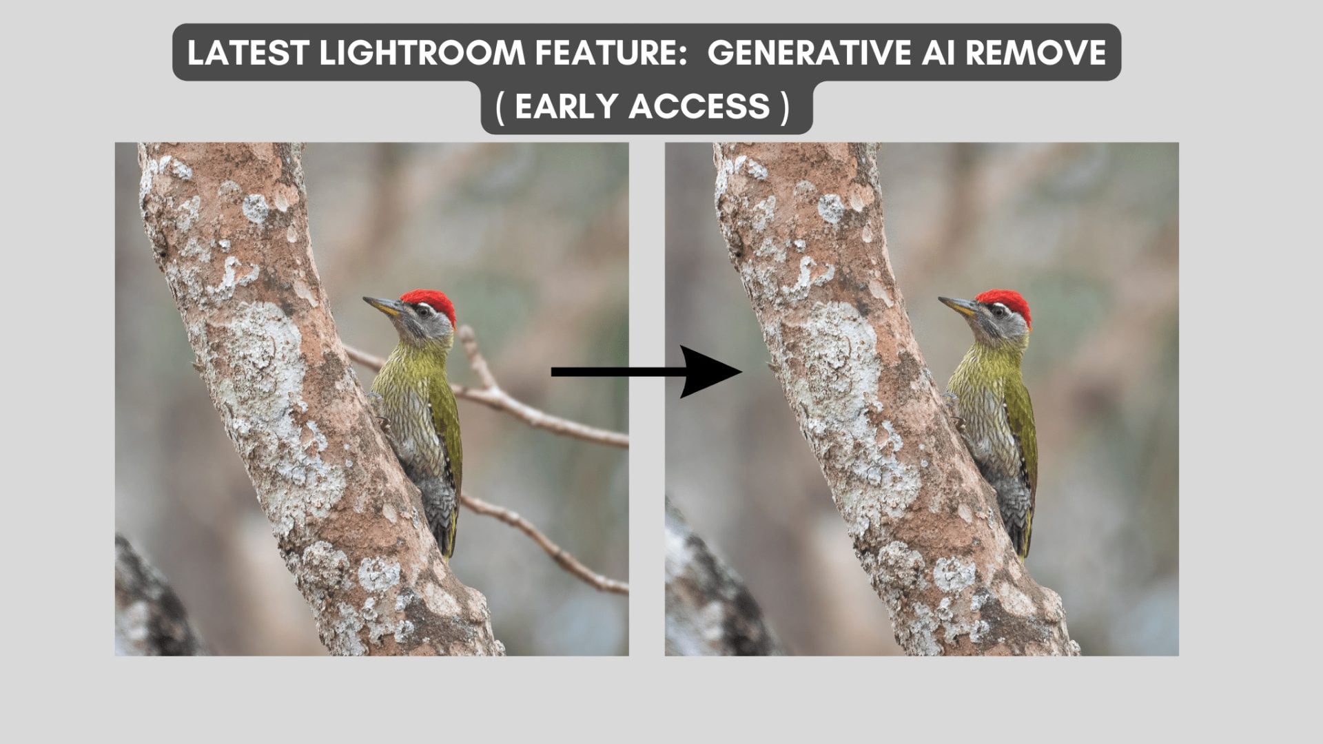Generative-AI remove Lightroom