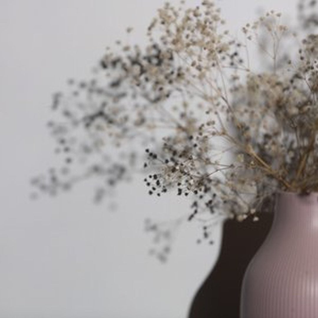 Nanlite Projection Attachment