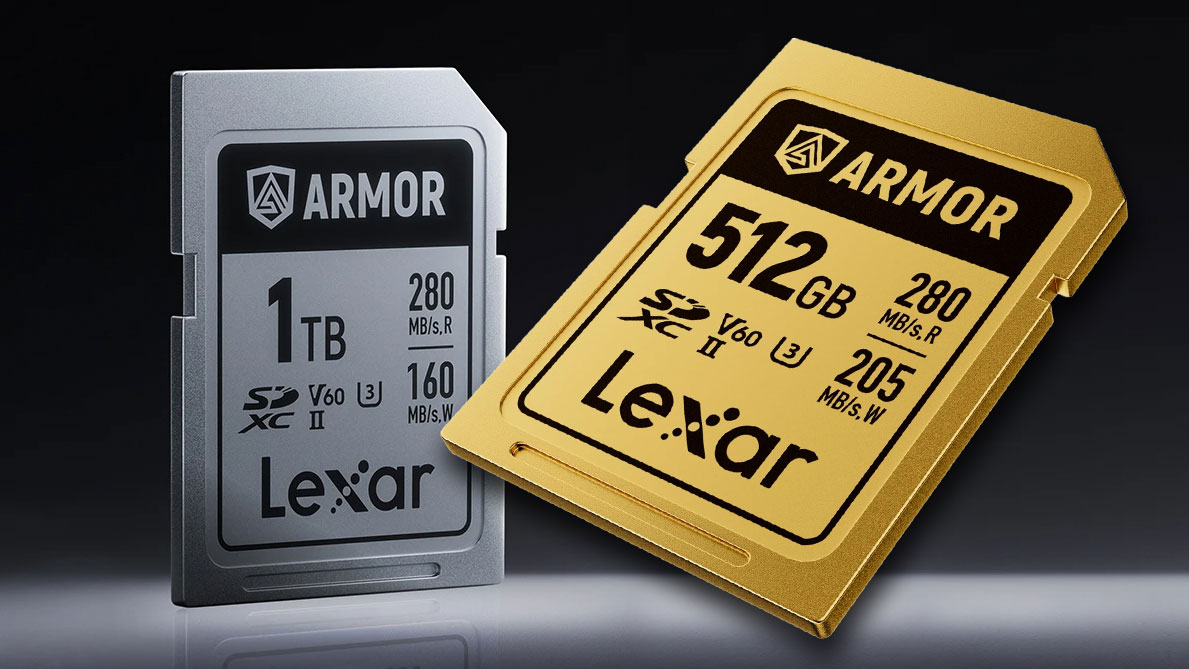 Lexar Armor SD Cards