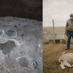 life framer 2025 contest winners