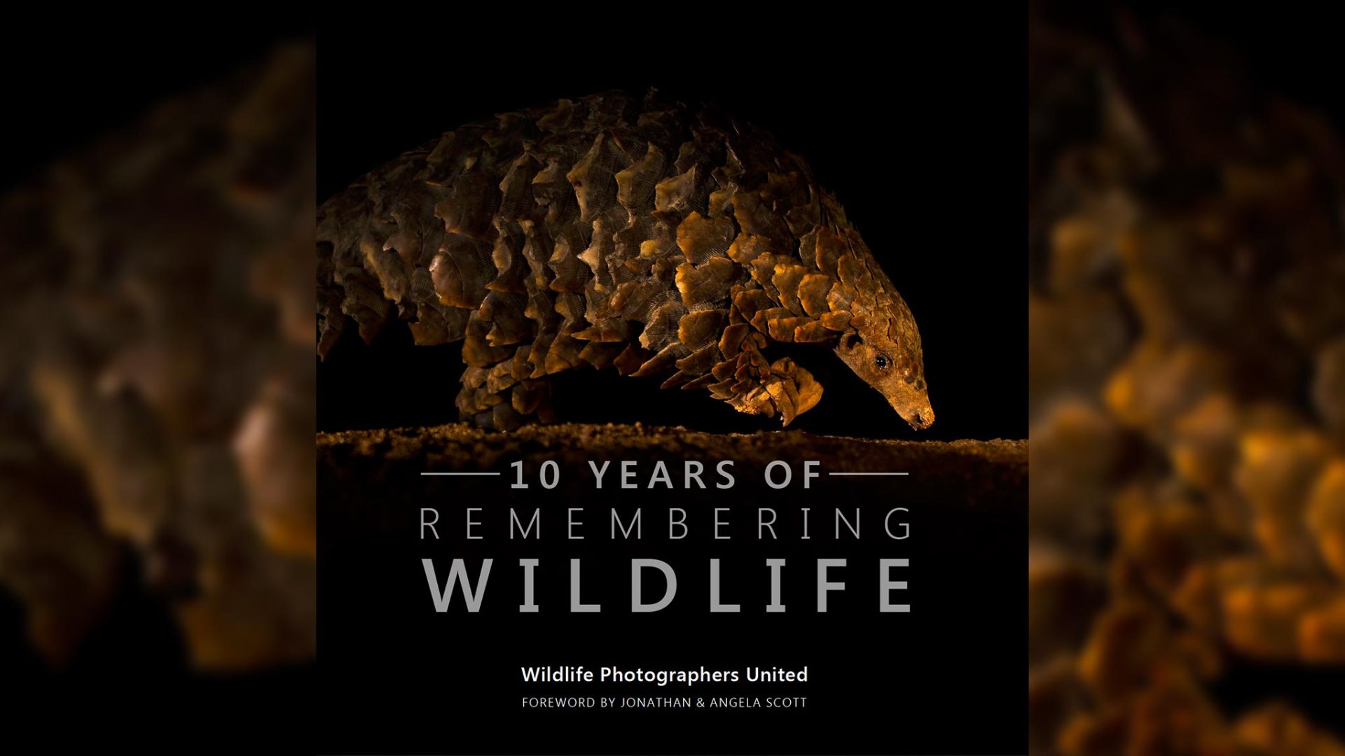 Remembering Wildlife Celebrates 10 Years with Stunning New Photography Book
