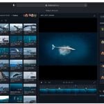 Strada Agents interface showing video clips, a whale preview, timeline, and team comments for remote video collaboration.