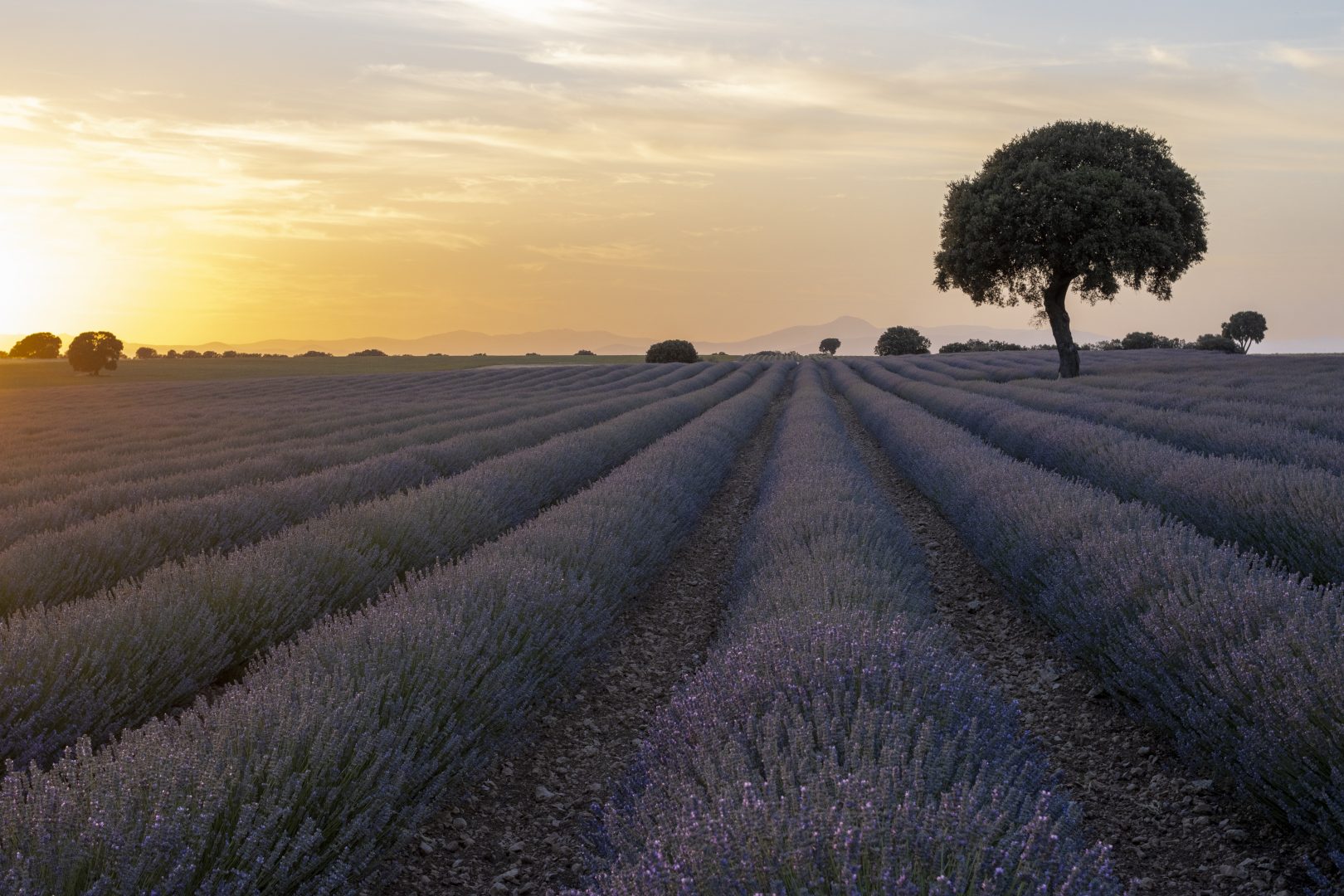 The Ultimate Landscape Photography Guide: Gear, Techniques & Tips