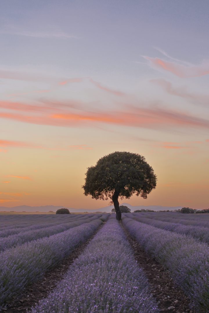 The Ultimate Landscape Photography Guide: Gear, Techniques & Tips