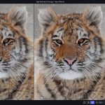 Topaz Photo AI Finally Perfected Noise Reduction