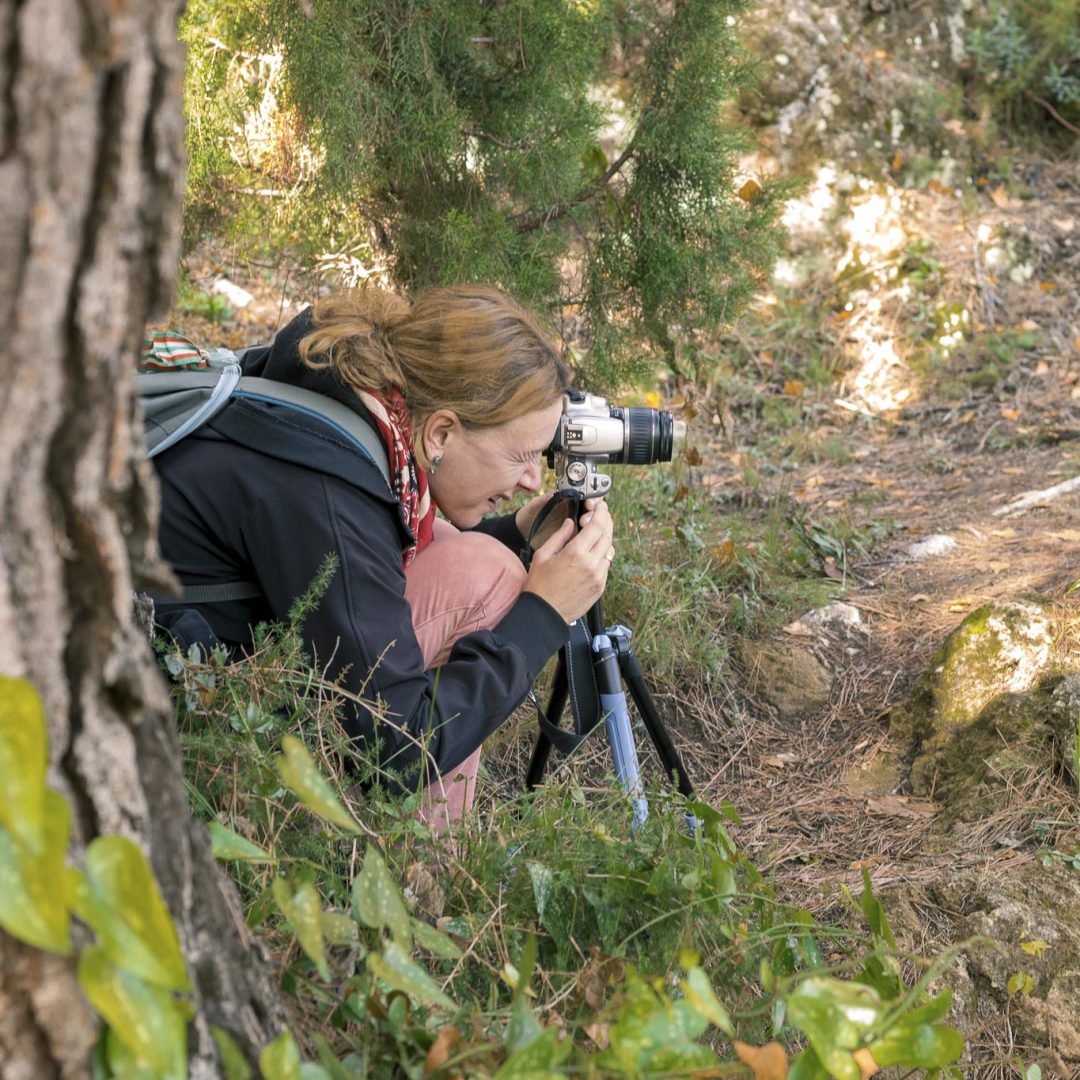 The Ultimate Landscape Photography Guide: Gear, Techniques & Tips