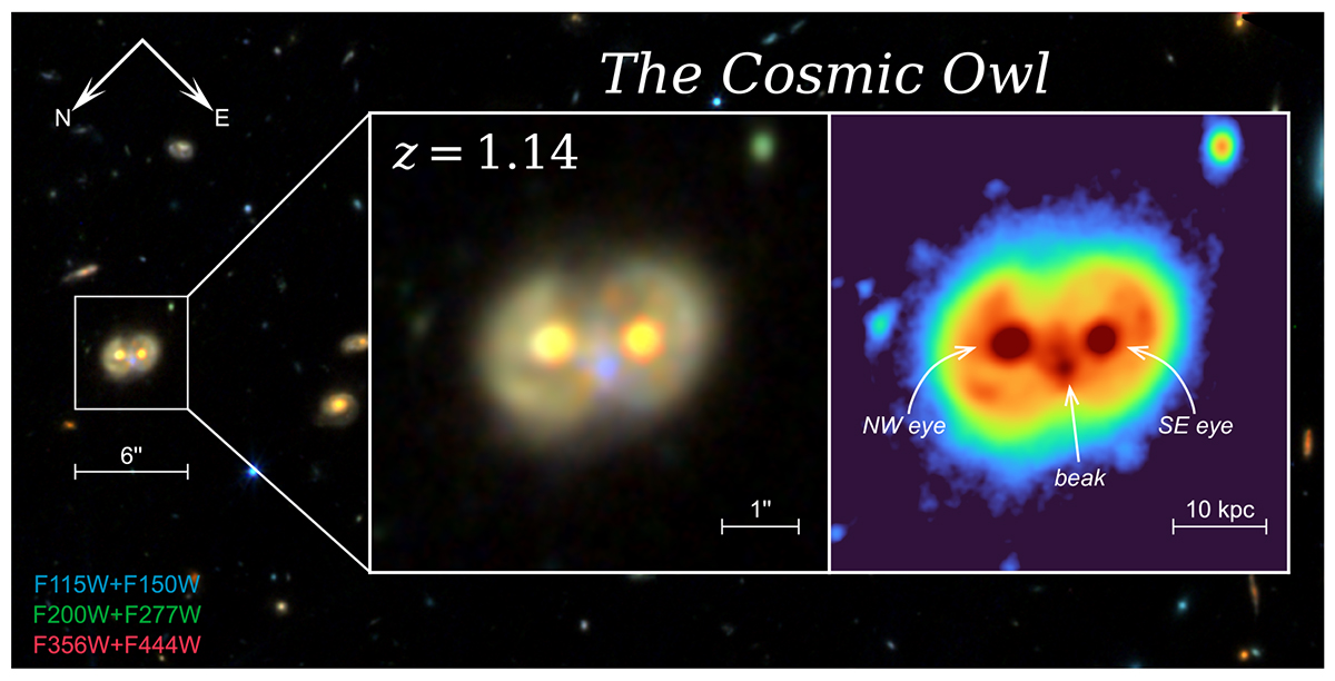 WST NIRCam and MIRI wide-band imaging of the Cosmic Owl