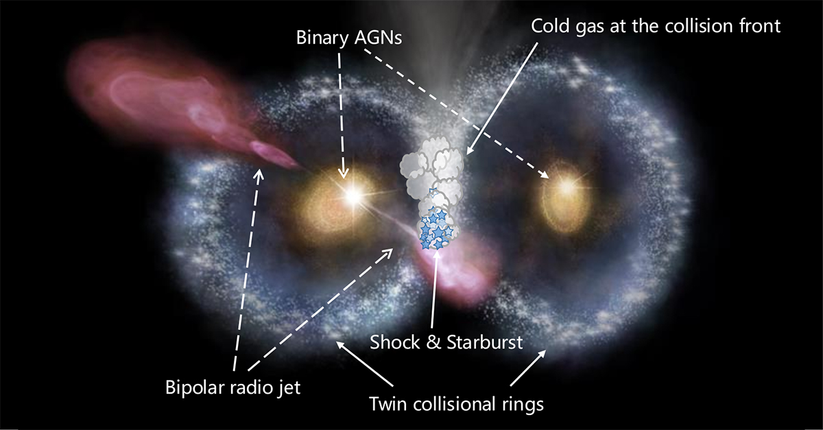 The annotated artistic view of the Cosmic Owl