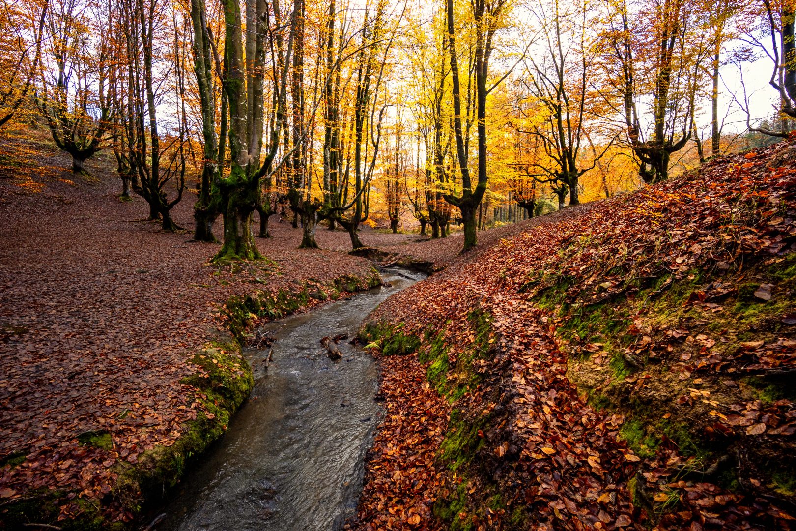 The Ultimate Landscape Photography Guide: Gear, Techniques & Tips