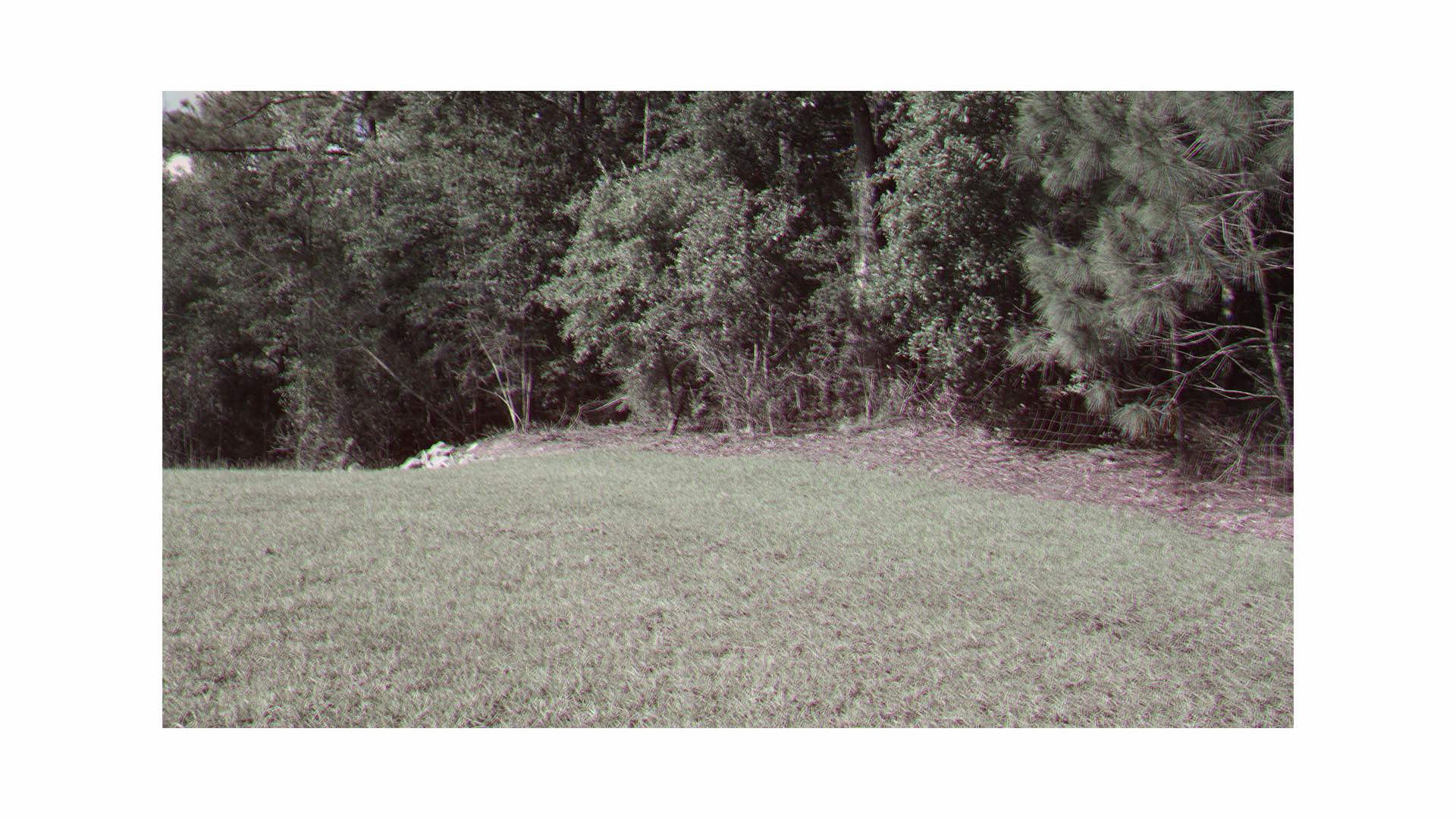 Handmade color grass and trees.