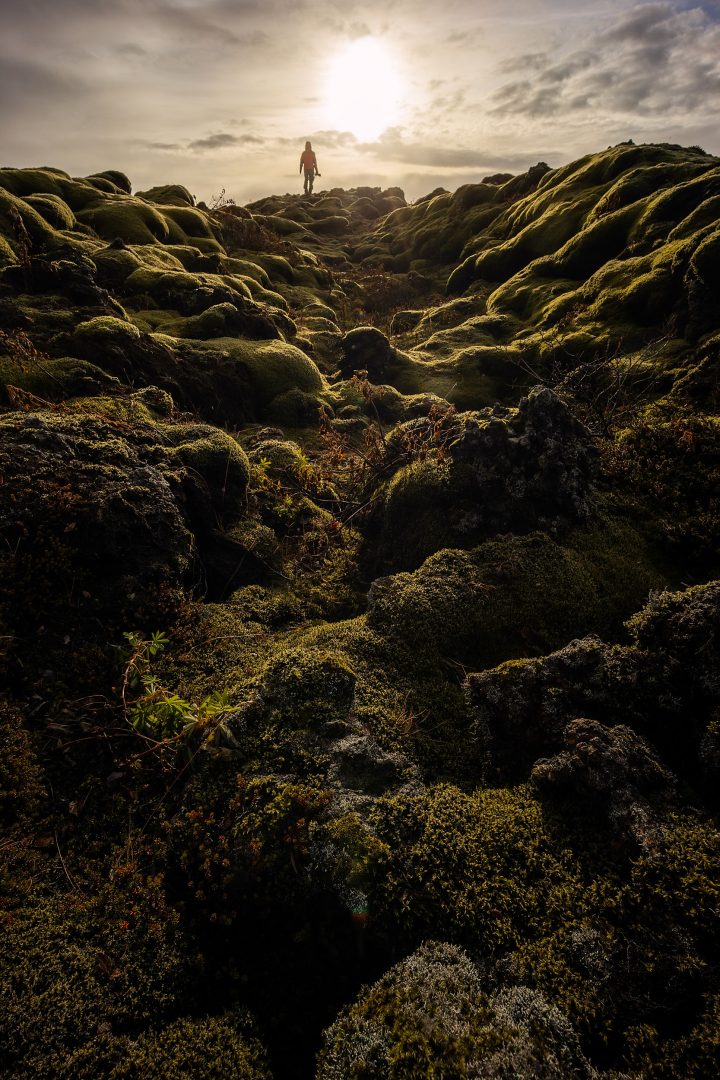 The Ultimate Landscape Photography Guide: Gear, Techniques & Tips