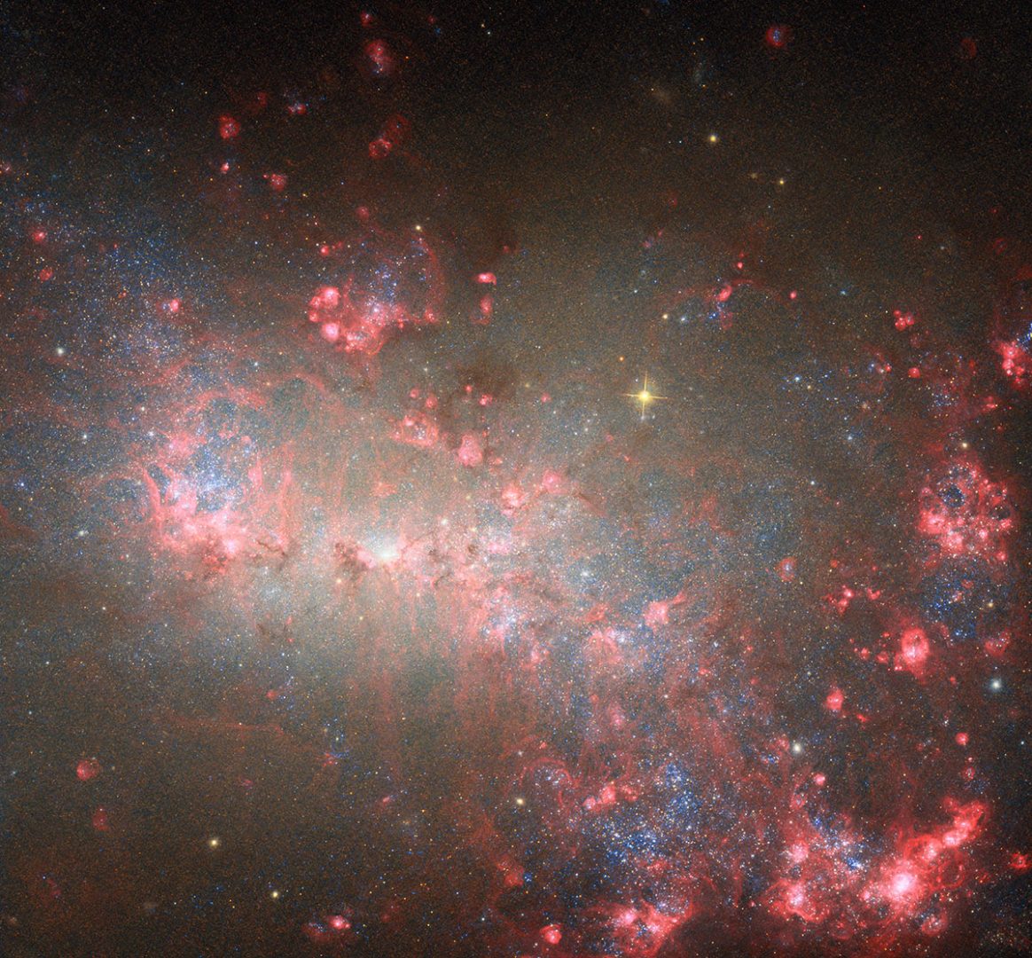 Hubble's new image of NGC 4449. Credit: ESA/Hubble & NASA, E. Sabbi, D. Calzetti, A. Aloisi