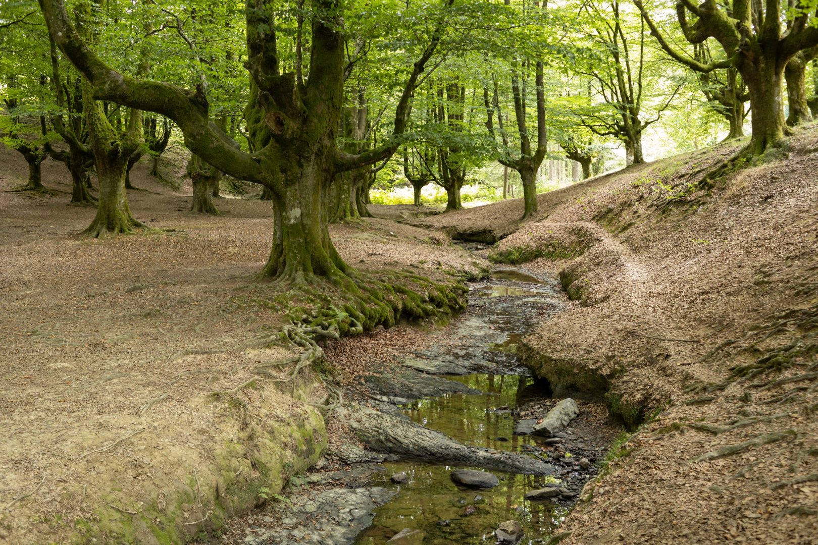 The Ultimate Landscape Photography Guide: Gear, Techniques & Tips