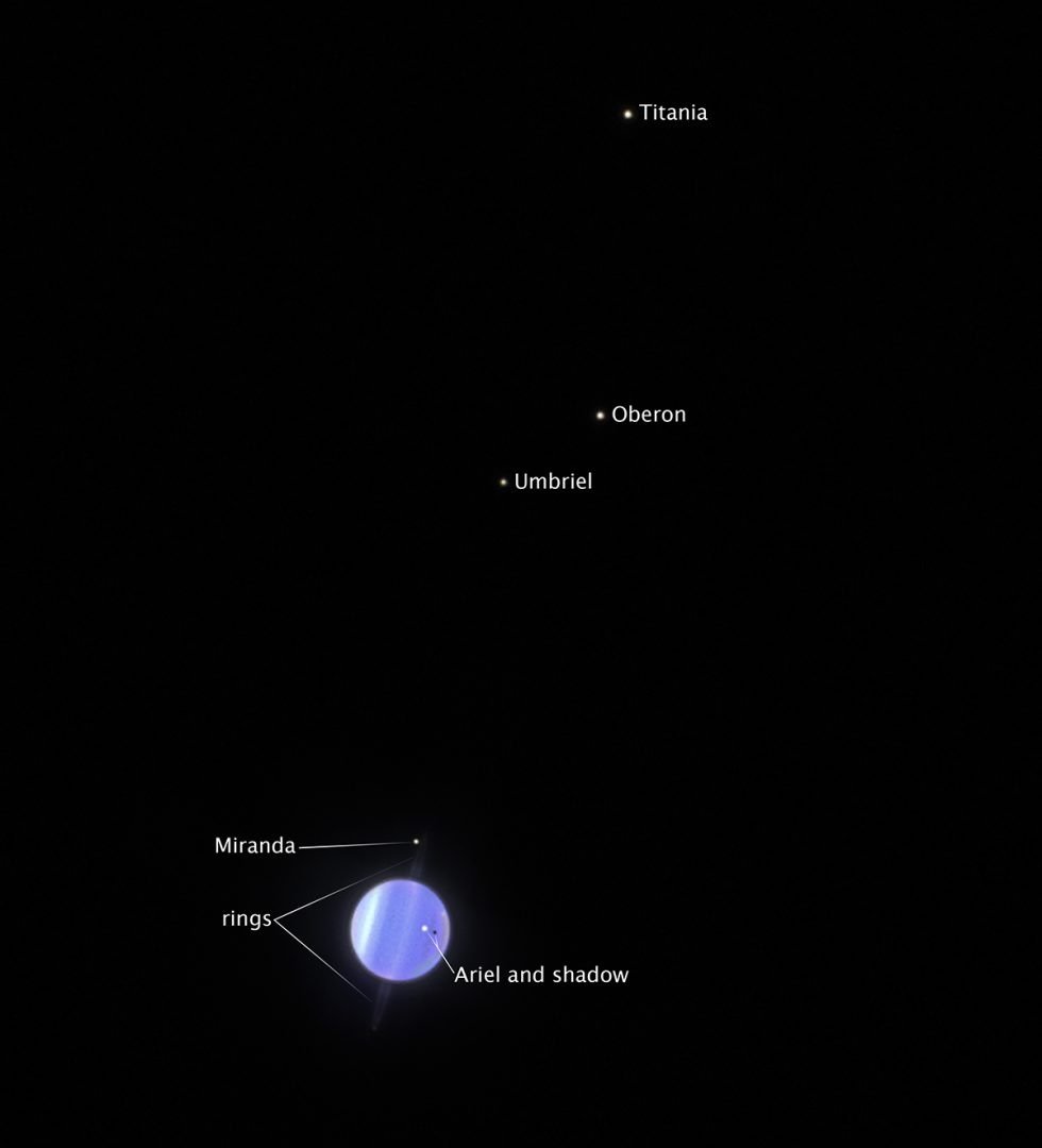 Astronomers studied the four largest moons of Uranus with the NASA/ESA Hubble Space Telescope. Credit: NASA, ESA, STScI