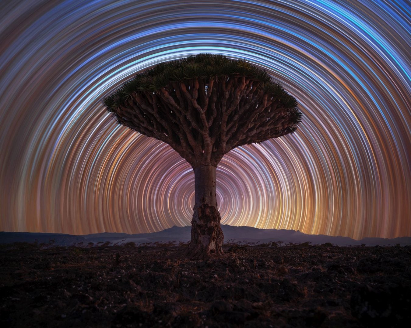 astrophotography contest shortlists