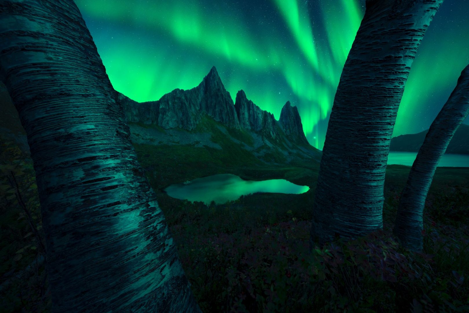 astrophotography contest shortlists