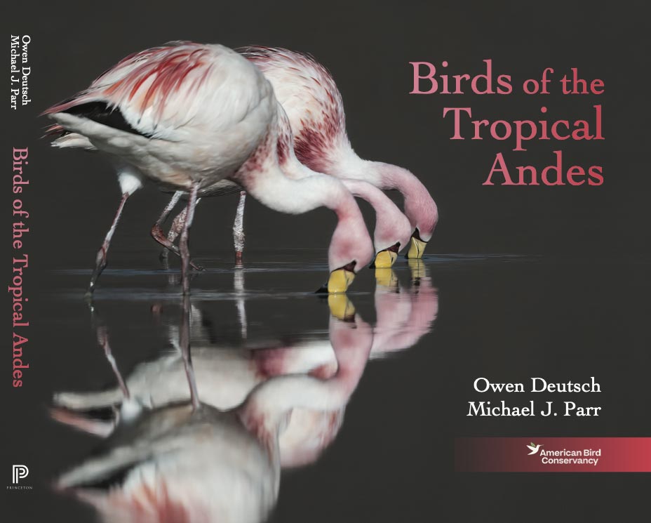 New Photography Book Both Captures the Stunning Birdlife of the Tropical Andes and Highlights Conservation