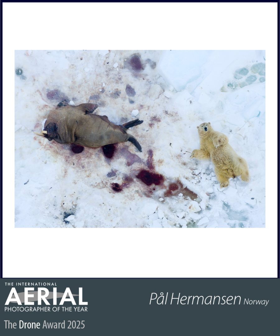 First-Ever International Aerial Photographer of the Year competition Announces its winners