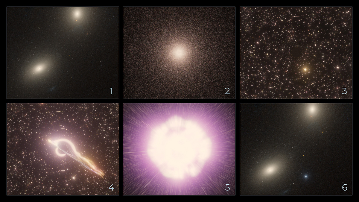 This sequence of artistic illustrations, from upper left to bottom right, shows how a black hole in the core of a star cluster captures a bypassing star and gravitationally shreds it until there is an explosion, seen in the outskirts of the host galaxy. Credit: NASA, ESA, Ralf Crawford (STScI)