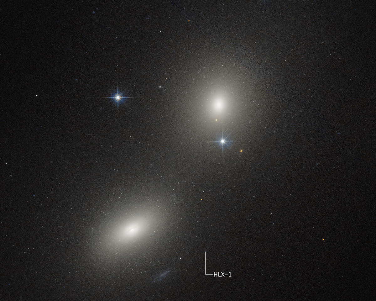 A Hubble Space Telescope image of a pair of galaxies: NGC 6099 (lower left) and NGC 6098 (upper right). The white dot labeled HLX-1 is the visible-light component of the location of a compact star cluster where an intermediate-mass black hole is tearing apart a star. Credit: Science: NASA, ESA, Yi-Chi Chang (National Tsing Hua University); Image Processing: Joseph DePasquale (STScI)