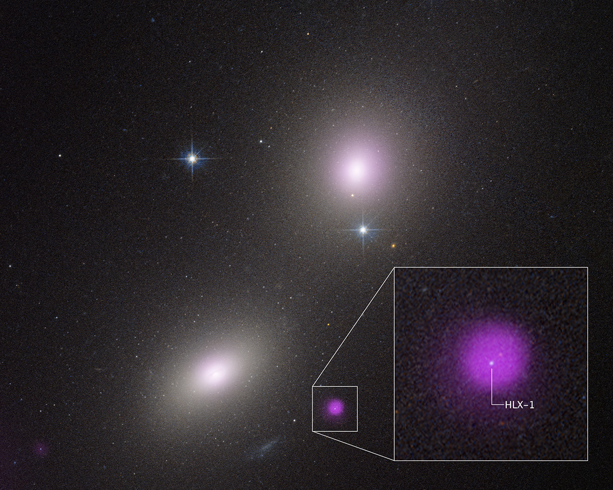 A Hubble Space Telescope image of a pair of galaxies: NGC 6099 (lower left) and NGC 6098 (upper right). The purple blob depicts X-ray emission from a compact star cluster. The X-rays are produced by an intermediate-mass black hole tearing apart a star. Credit: Science: NASA, ESA, CXC, Yi-Chi Chang (National Tsing Hua University); Image Processing: Joseph DePasquale (STScI)