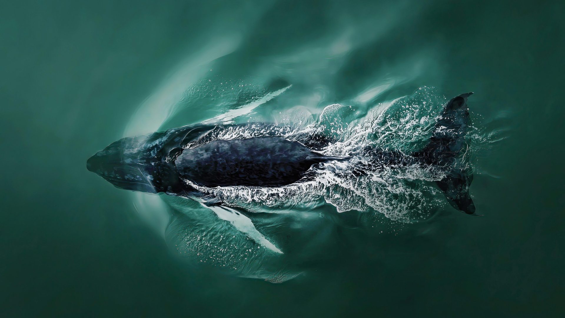 First-Ever International Aerial Photographer of the Year competition Announces its winners