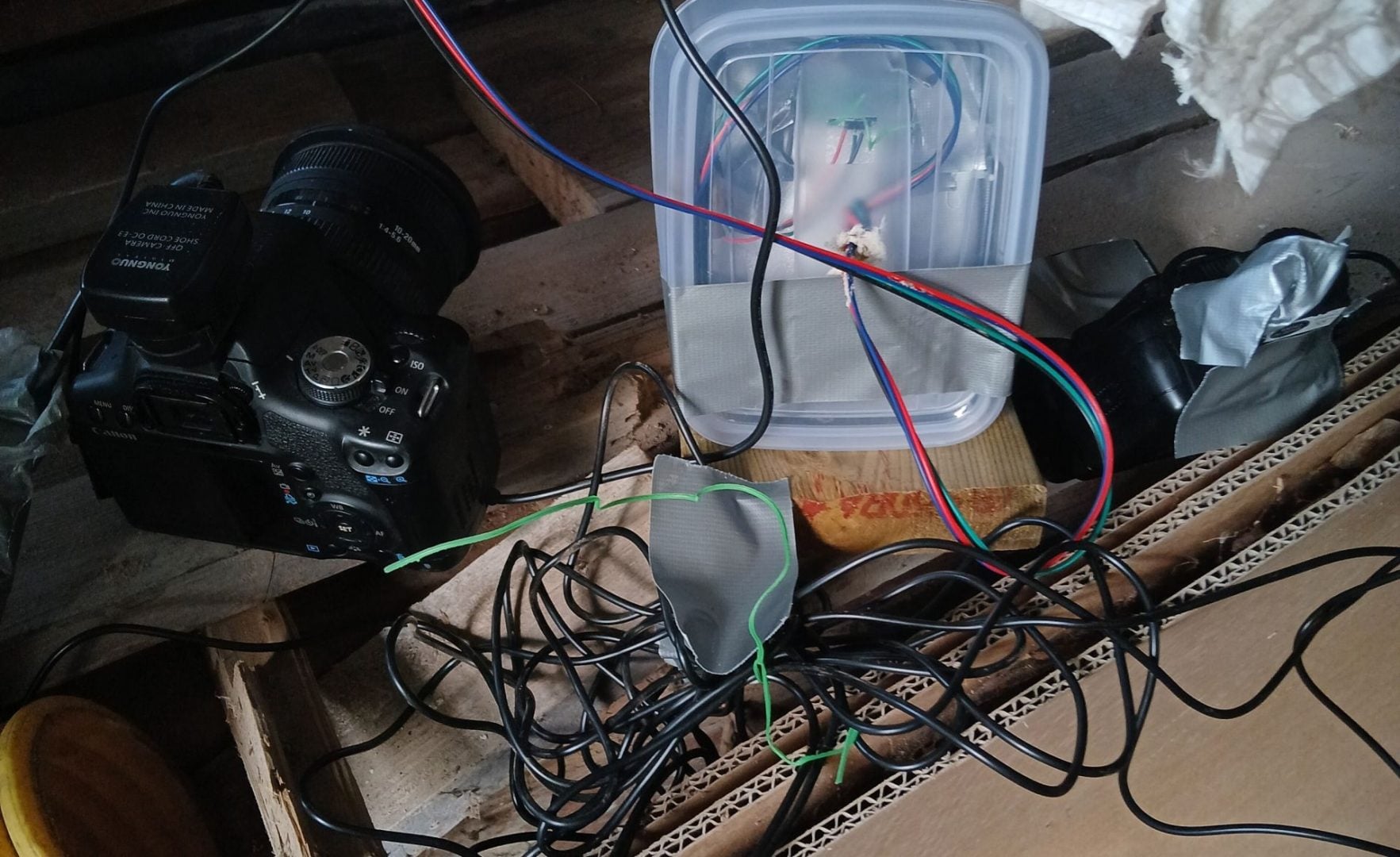DIY camera trap