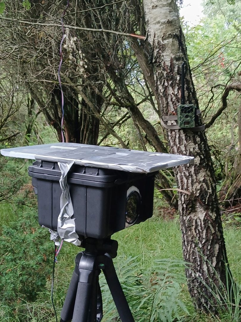 DIY camera trap