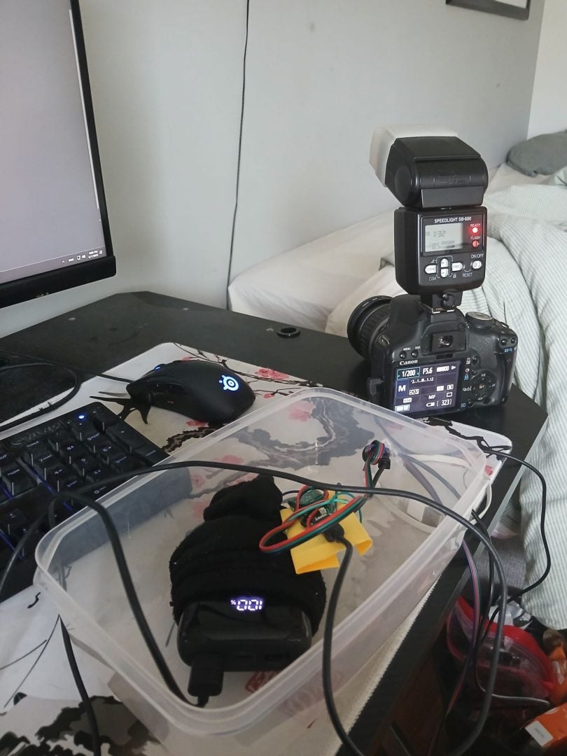 DIY camera trap