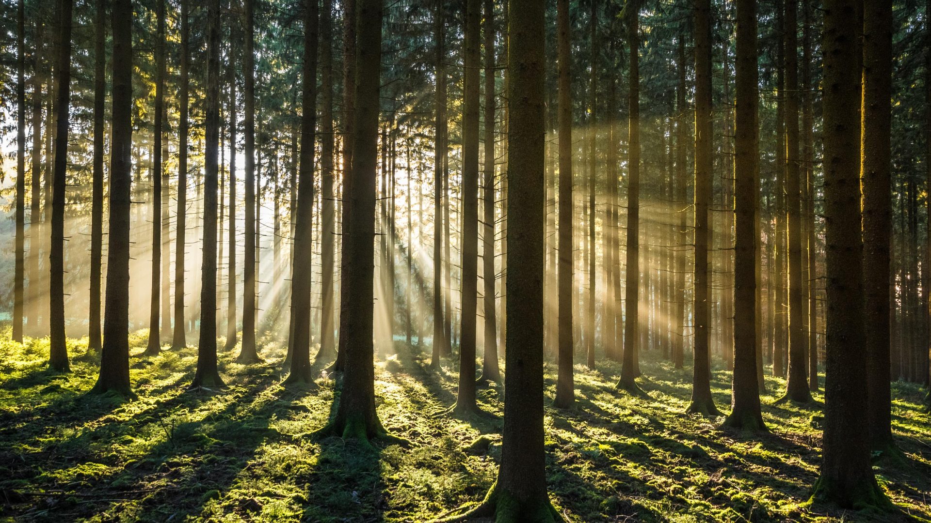 Use These Camera Settings to Nail Your Landscape Photos, A Beginner's Guide