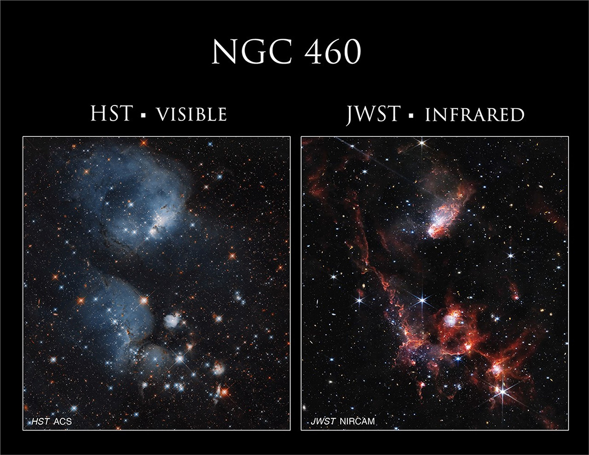 Clouds of ionized gas dominate open cluster NGC 460 in the Hubble image (left), while tendrils of dust are on display in the JWST image (right). Credit: NASA, ESA, and C. Lindberg; Processing: Gladys Kober