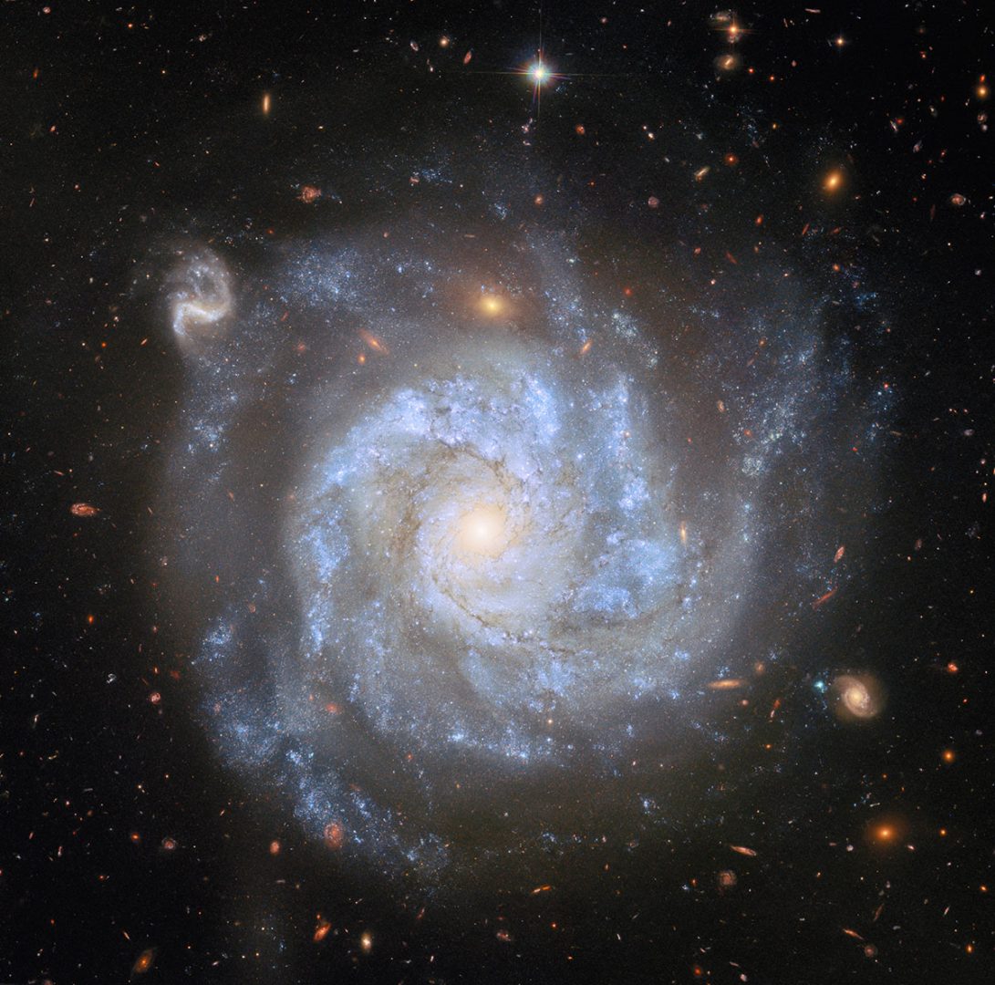 Hubble's recent view of NGC 1309. Credit: ESA/Hubble & NASA, L. Galbany, S. Jha, K. Noll, A. Riess