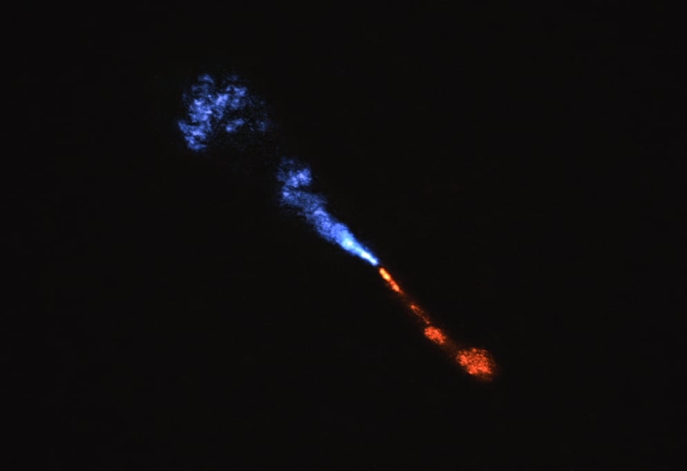 This image shows jets of silicon monoxide (SiO) blowing away from the baby star HOPS-315. Credit: ALMA(ESO/NAOJ/NRAO)/M. McClure et al.