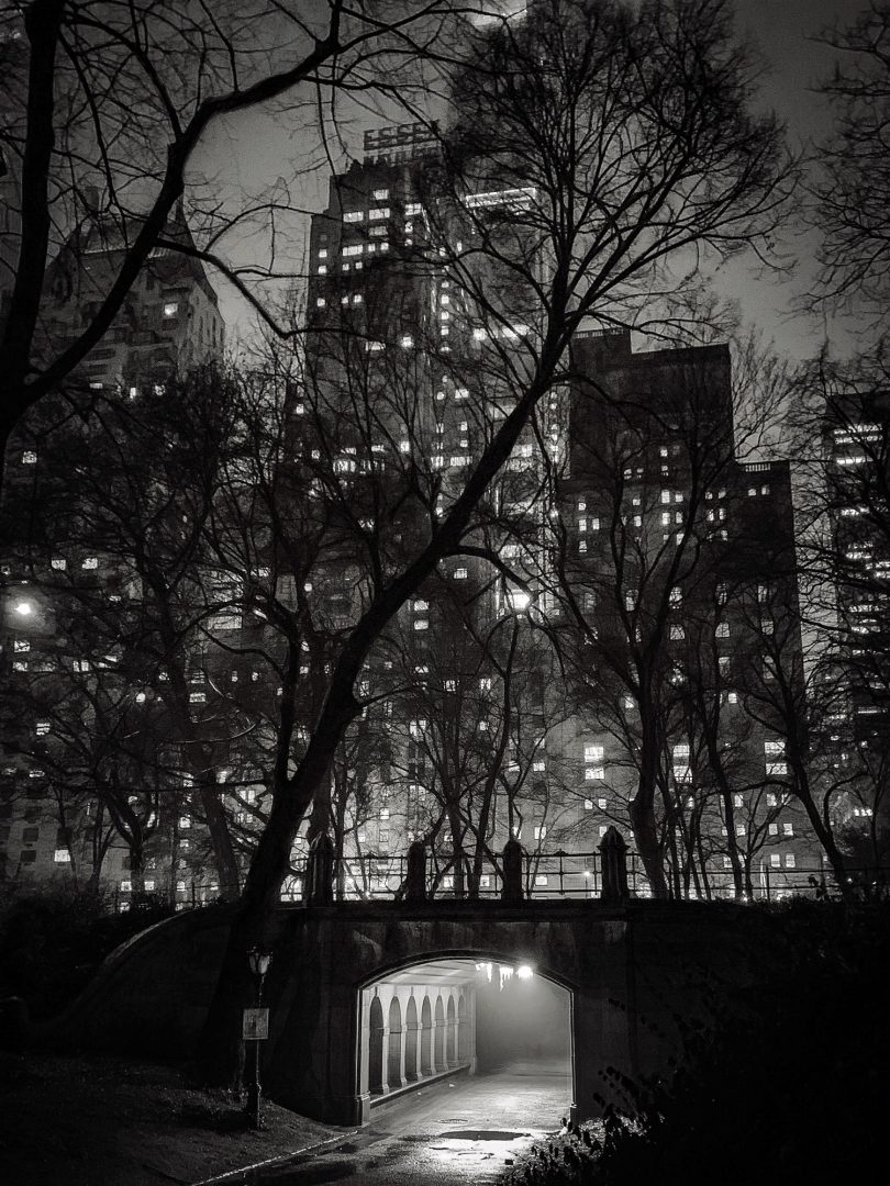 From Moonlit Streets to Central Park Arches: These are the Winning Images of the 2025 iPhone Photography Awards